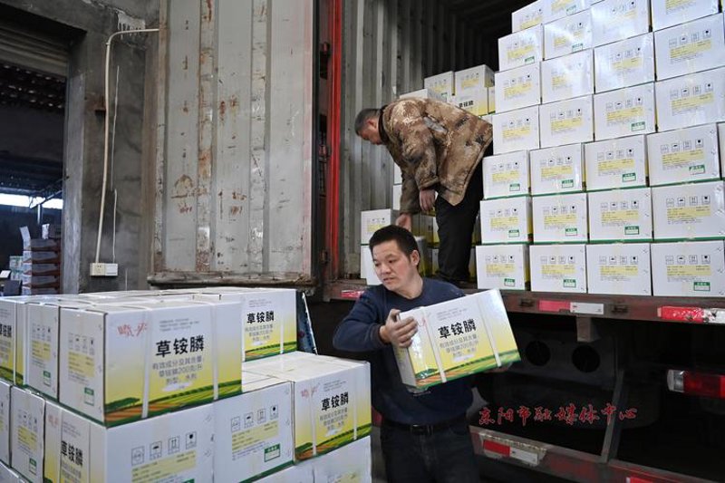 复合肥价格波动趋势与农民种植决策