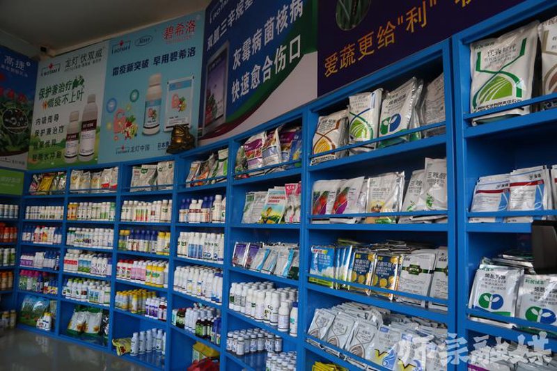 复合肥价格走势分析